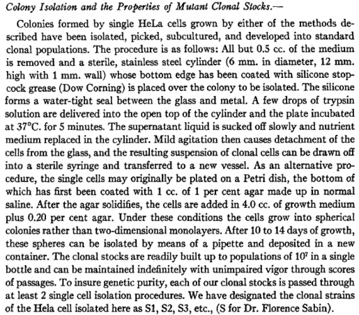 1956 HeLa S3 cloning passage.jpg